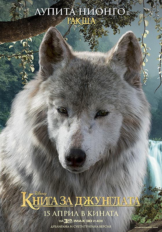 ����� �� ���������